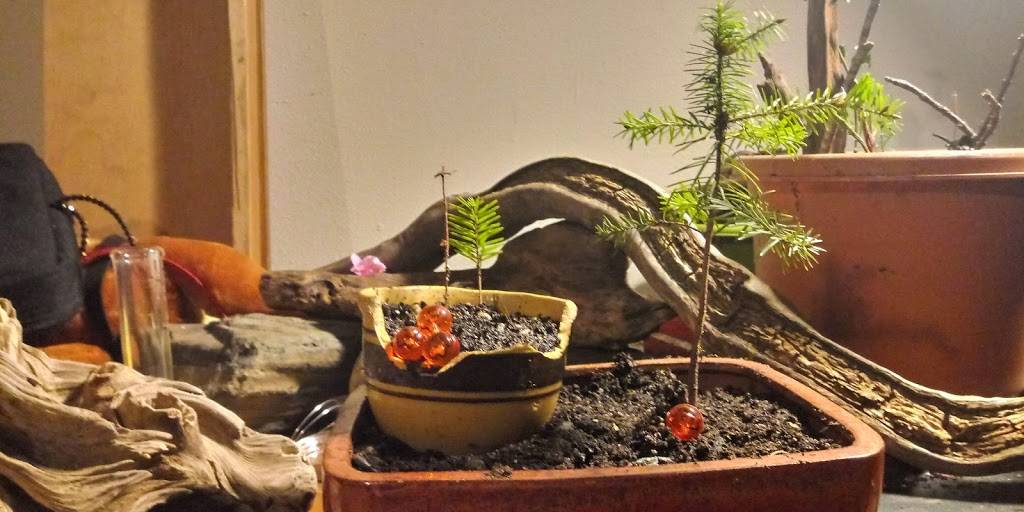 Taco Bell | meal takeaway | 14300 SW Allen Blvd, Beaverton, OR 97005, USA | 5035260935 OR +1 503-526-0935