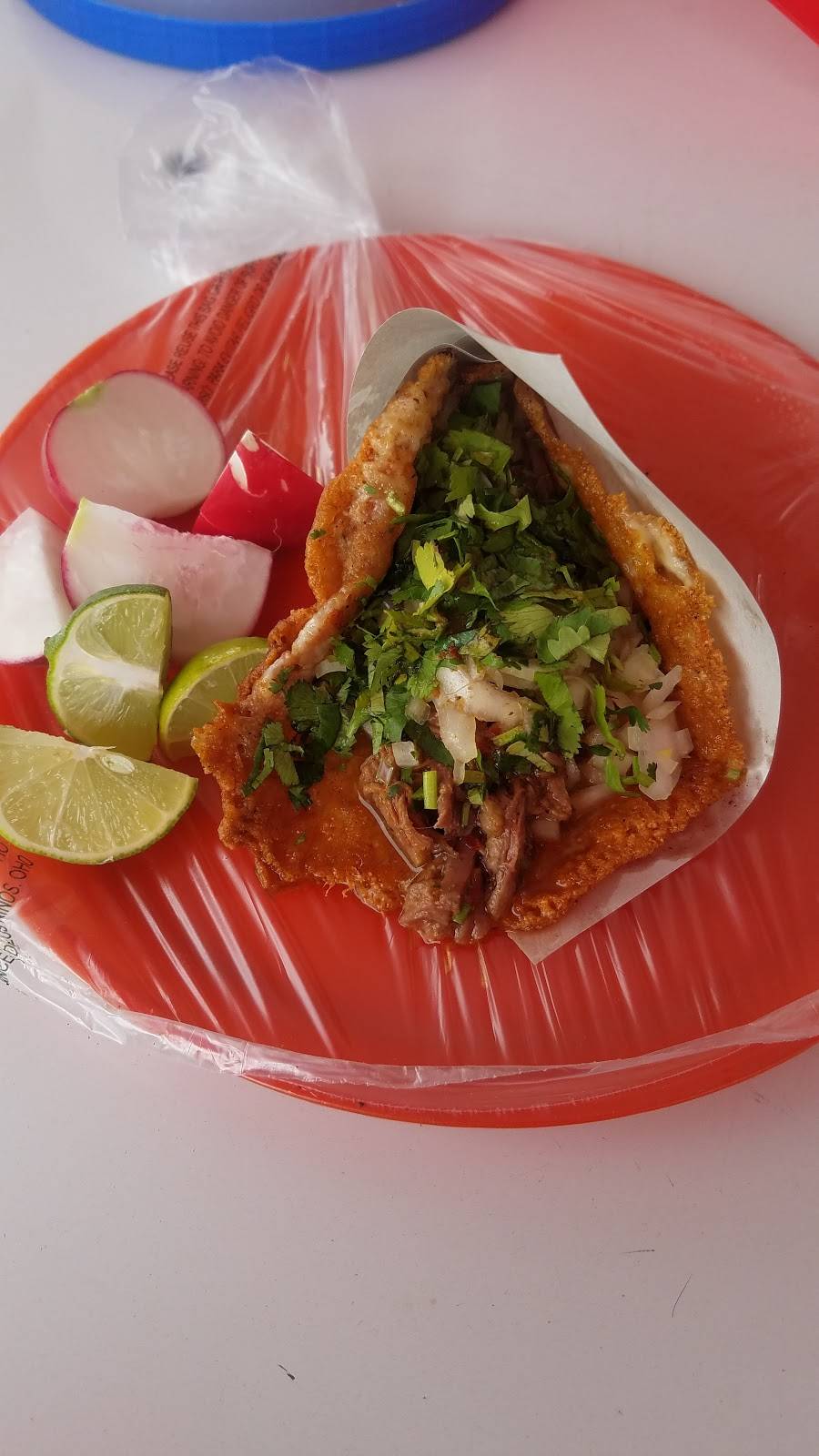 Birrieria EL PAPACHI | restaurant | Av. Ejido Chilpancingo 20550, Buenos Aires Nte., 22000 Tijuana, B.C., Mexico | 016641746869 OR +52 664 174 6869