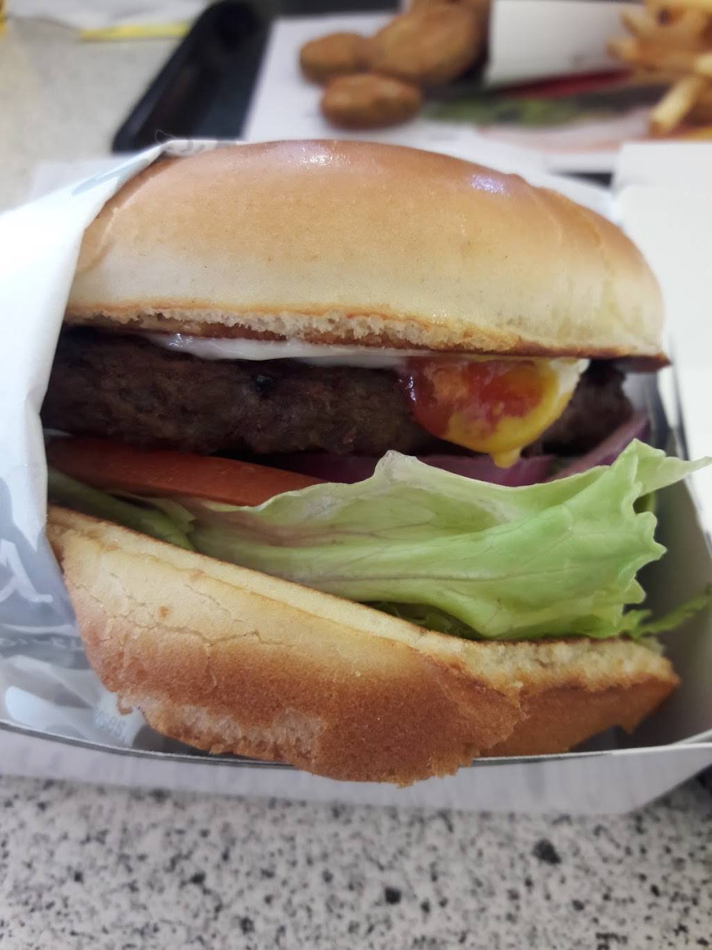 Carls Jr. | restaurant | 950 Carlsbad Village Dr, Carlsbad, CA 92008, USA | 7607297258 OR +1 760-729-7258