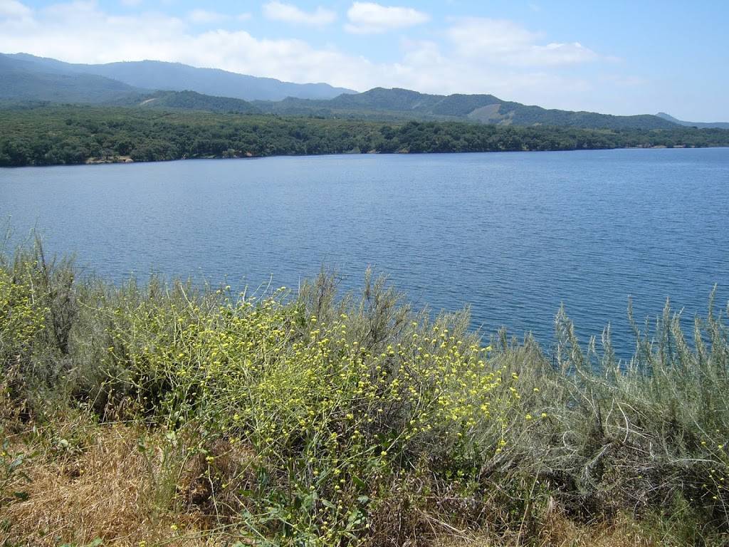 HOOKd Bar and Grill | restaurant | 2225 CA-154, Santa Barbara, CA 93105, USA | 8053508351 OR +1 805-350-8351