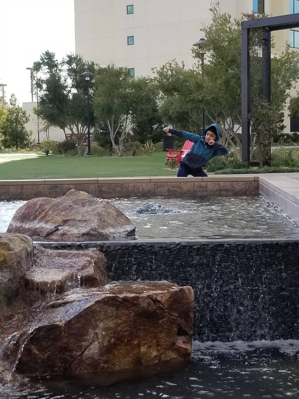 Festival Center | restaurant | 4825 W Flamingo Rd, Las Vegas, NV 89103, USA | 7023415555 OR +1 702-341-5555