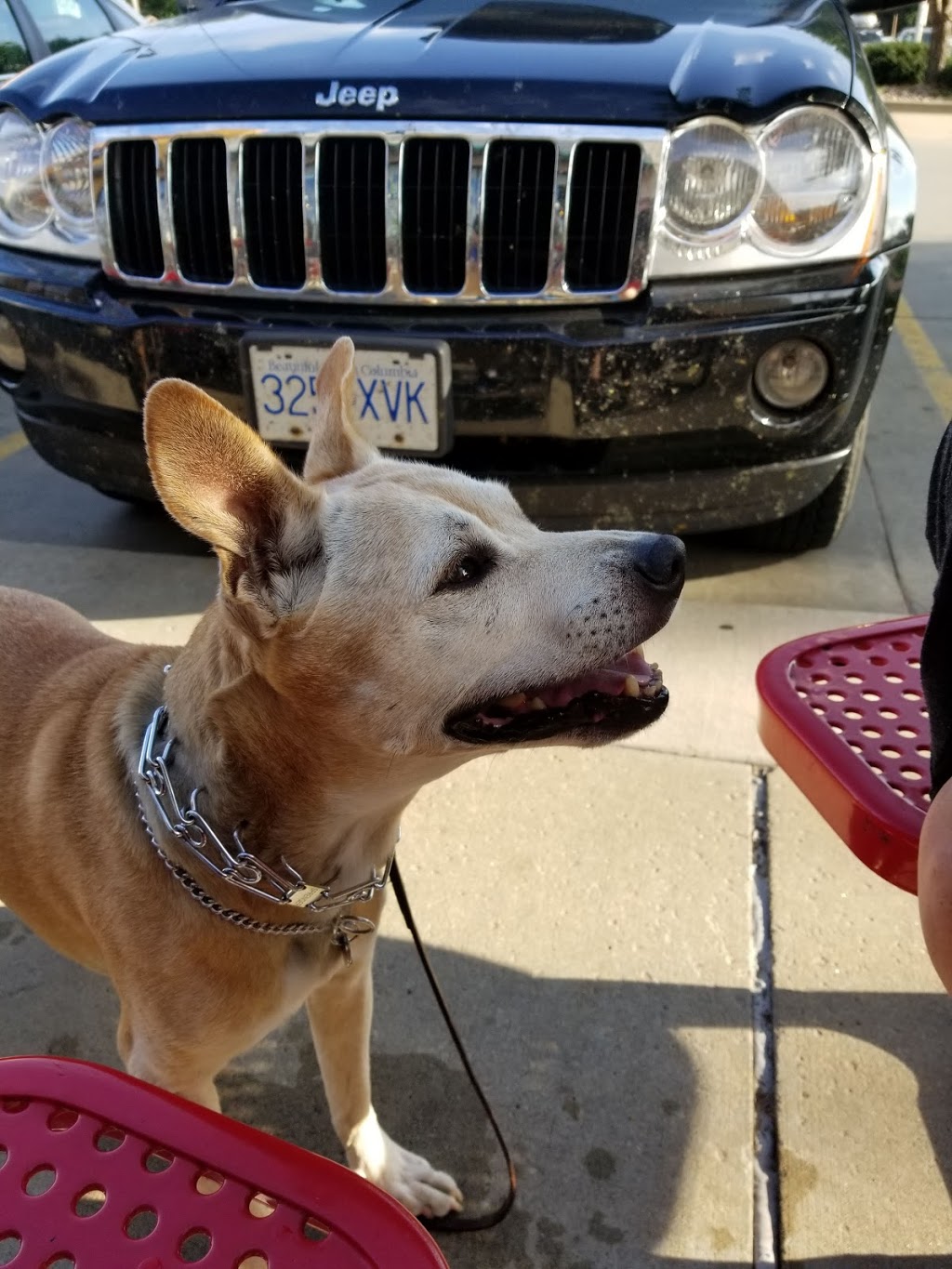 Taco Johns | restaurant | 1920 W 12th St, Sioux Falls, SD 57104, USA | 6053388518 OR +1 605-338-8518