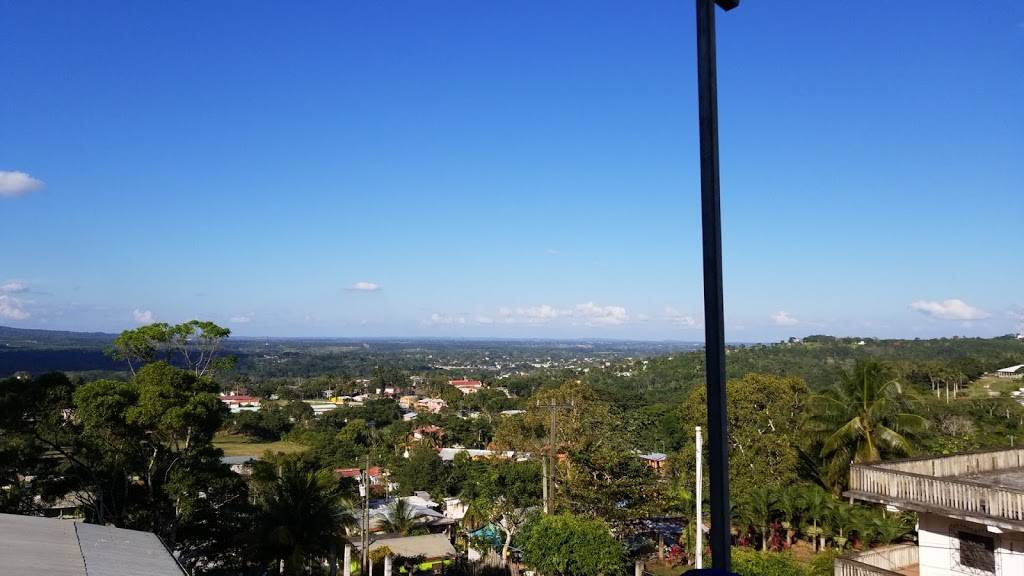 D Sky Bistro | restaurant | Alvarado St, San Leandro, CA 94577, USA | 8247876 OR +501 824-7876