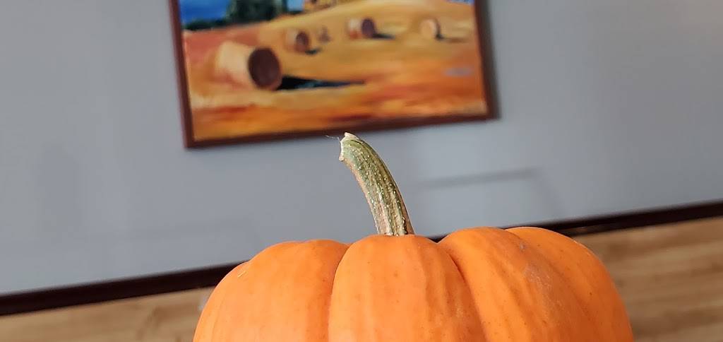 Beniaminos Cucina & Pizza | restaurant | 1325 US HWY 206 N Ste 3, Skillman, NJ 08558, USA | 6092520030 OR +1 609-252-0030