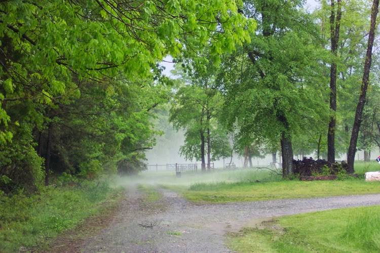 The Inn at Celebrity Dairy | restaurant | 144 Celebrity Dairy Way, Siler City, NC 27344, USA | 9197425176 OR +1 919-742-5176