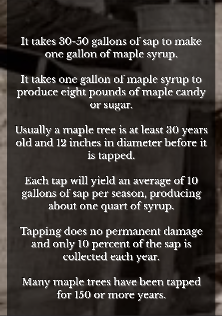 Howles Maple Farm | restaurant | 27828 Patterson Rd, Guys Mills, PA 16327, United States | 8147245296 OR +1 814-724-5296