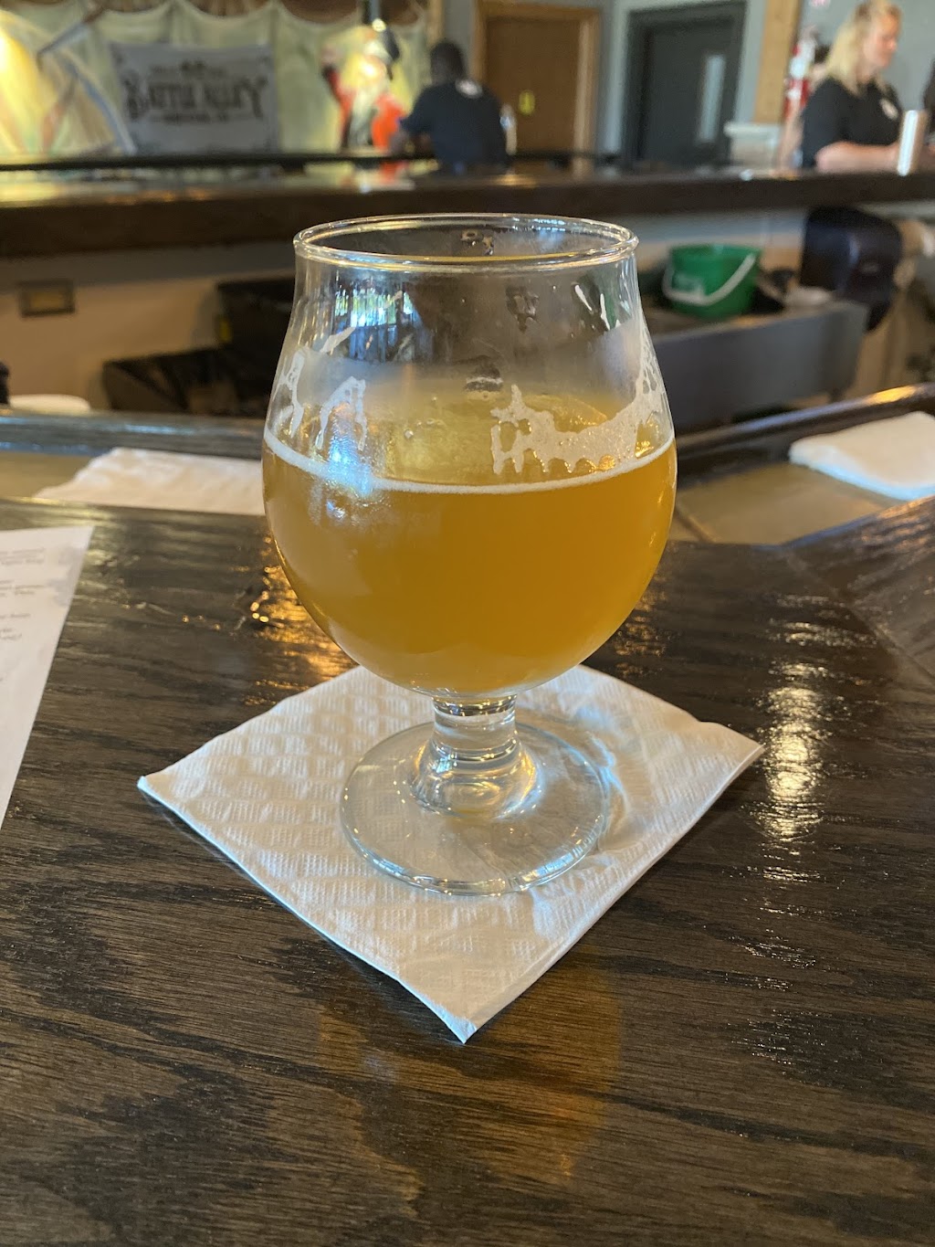 Battle Alley Brewing Company | restaurant | 806 N Saginaw St, Holly, MI 48442, USA | 2483825004 OR +1 248-382-5004