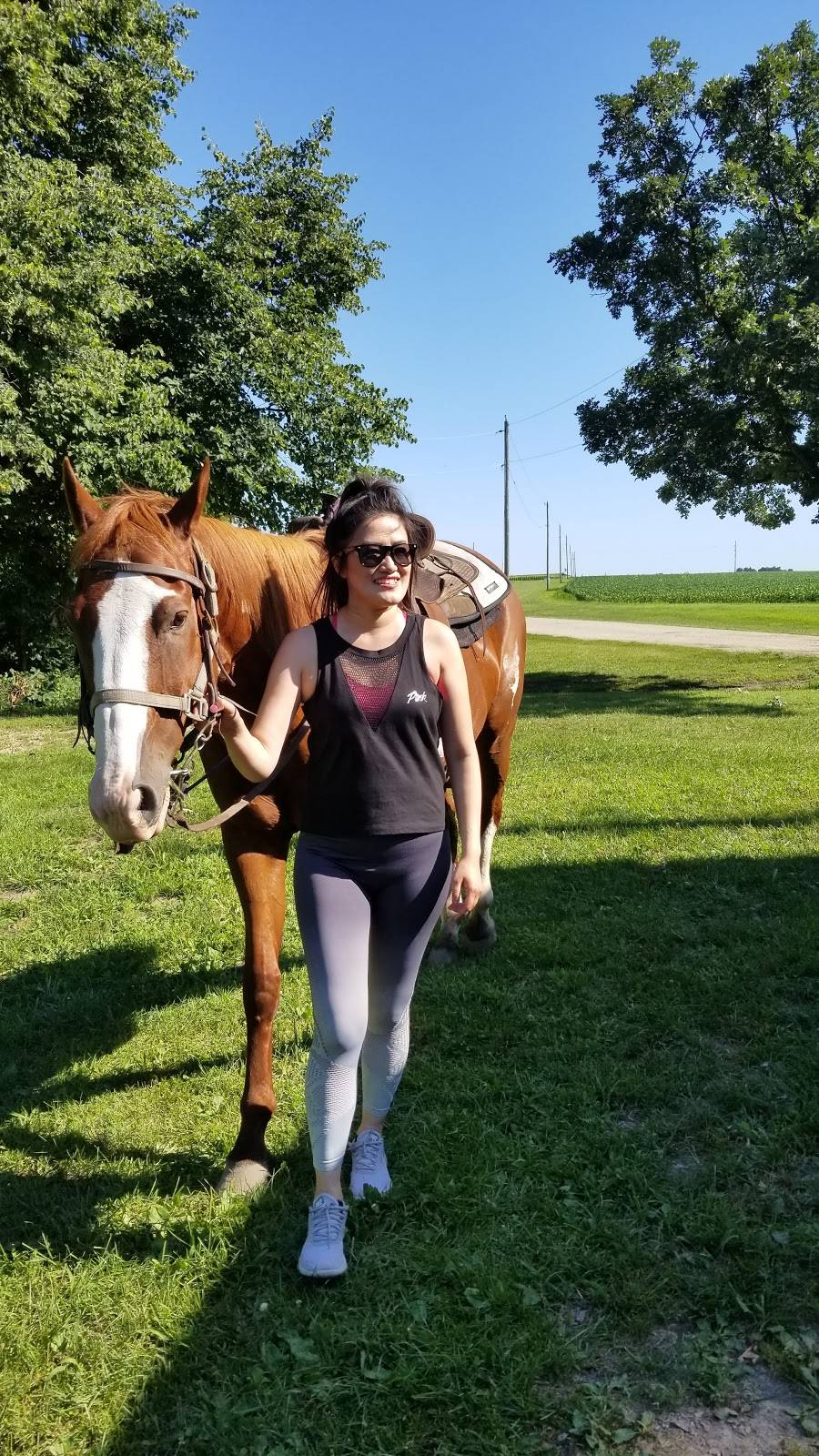 Gunsmoke Grill | restaurant | 249 East, IL-71, Cedar Point, IL 61316, USA | 8154464017 OR +1 815-446-4017