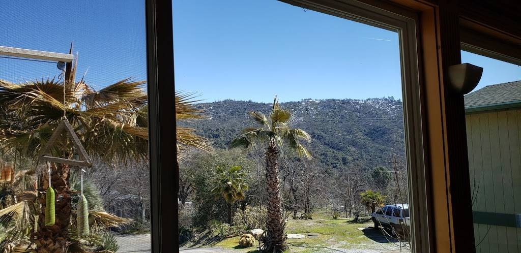 El Cid | restaurant | 41939 CA-41, Oakhurst, CA 93644, USA | 5596836668 OR +1 559-683-6668