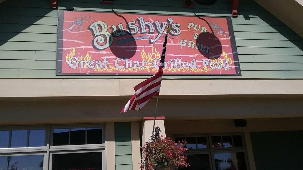 Bushys Pub & Grill | restaurant | S67W14831 Janesville Rd, Muskego, WI 53150, USA | 4144221035 OR +1 414-422-1035