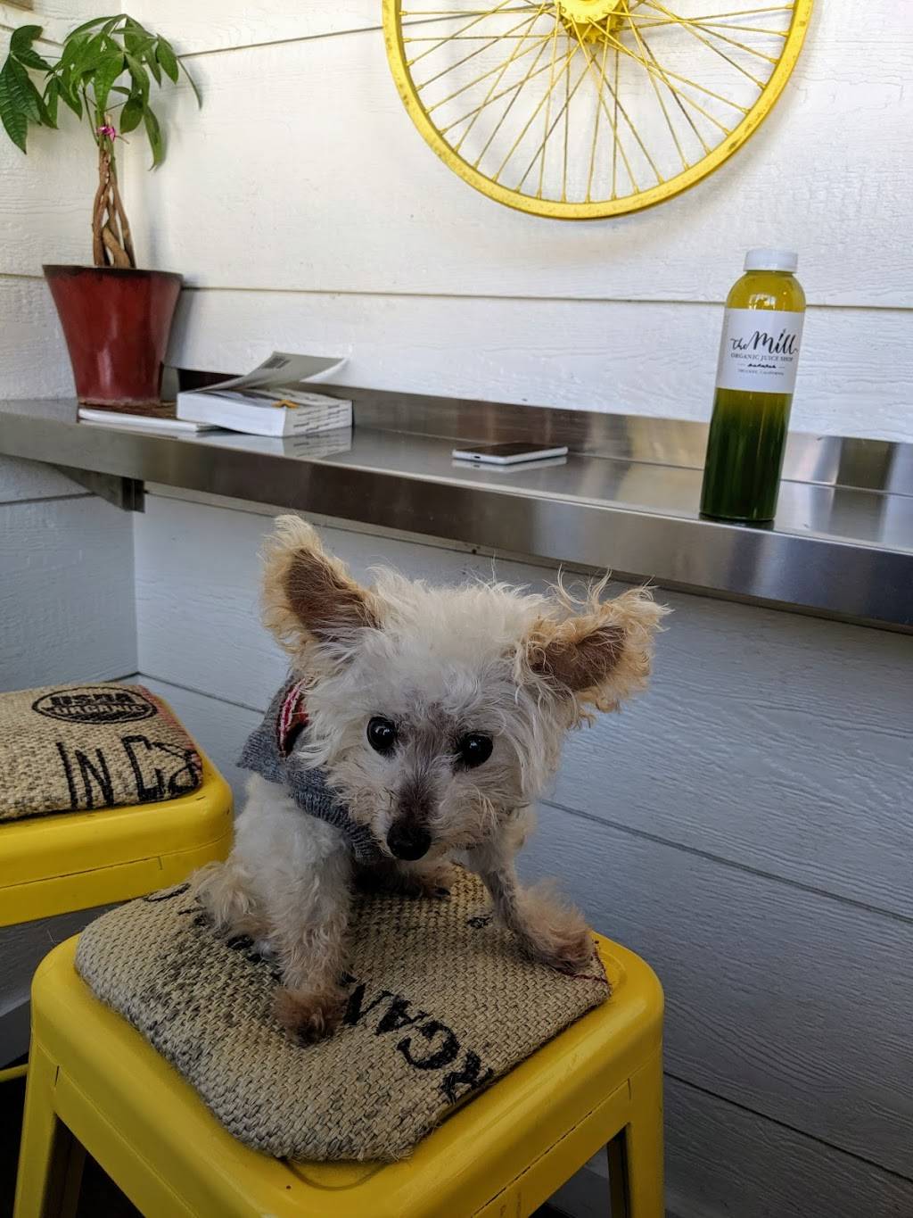 The Mill Juice Shop | restaurant | 10825 Pioneer Trail, Truckee, CA 96161, USA | 5305365031 OR +1 530-536-5031