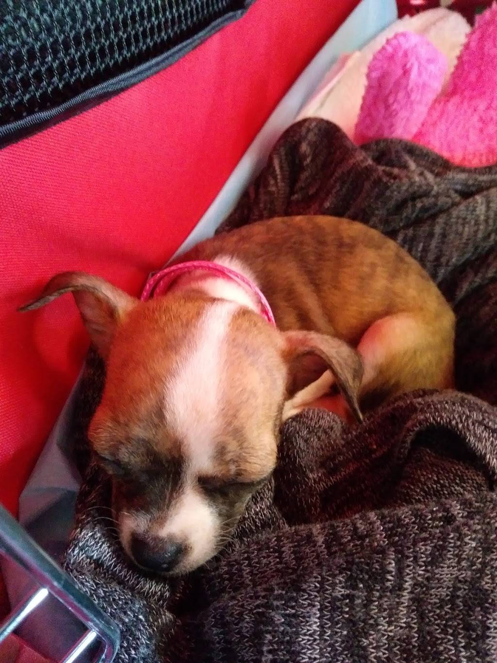 Sonic Drive-In | restaurant | 4801 W, Broadway St, Mt Vernon, IL 62864, USA | 6182419191 OR +1 618-241-9191