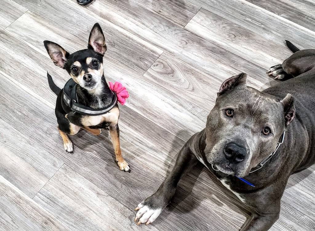 Pickles Playland | restaurant | 12669 NE 85th St, Kirkland, WA 98033, USA | 4252984530 OR +1 425-298-4530