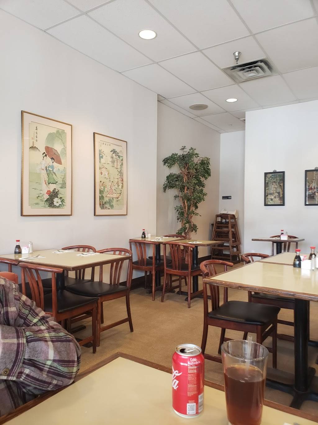 Hunan | restaurant | 1136 Thorn Run Road Extension, Coraopolis, PA 15108, USA | 4122621322 OR +1 412-262-1322