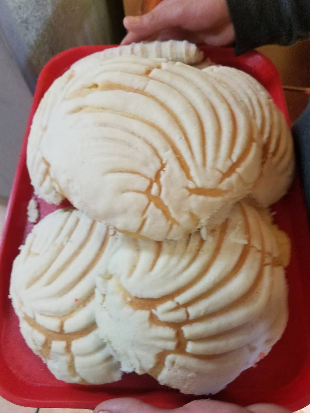 El Alamo | restaurant | 3548 Morrison Rd, Denver, CO 80219, USA | 3039222022 OR +1 303-922-2022