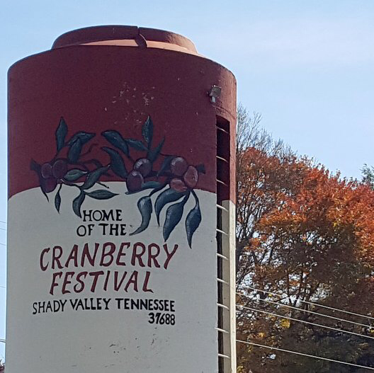 Raceway Restaurant | restaurant | 5342, 2864 TN-91, Shady Valley, TN 37688, USA | 4237392499 OR +1 423-739-2499