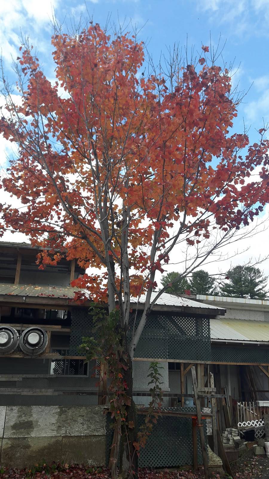 Restaurant Auberge Yucca Riviera | restaurant | 3712 Rue Saint Patrick, Rawdon, QC J0K 1S0, Canada | 4508343313 OR +1 450-834-3313