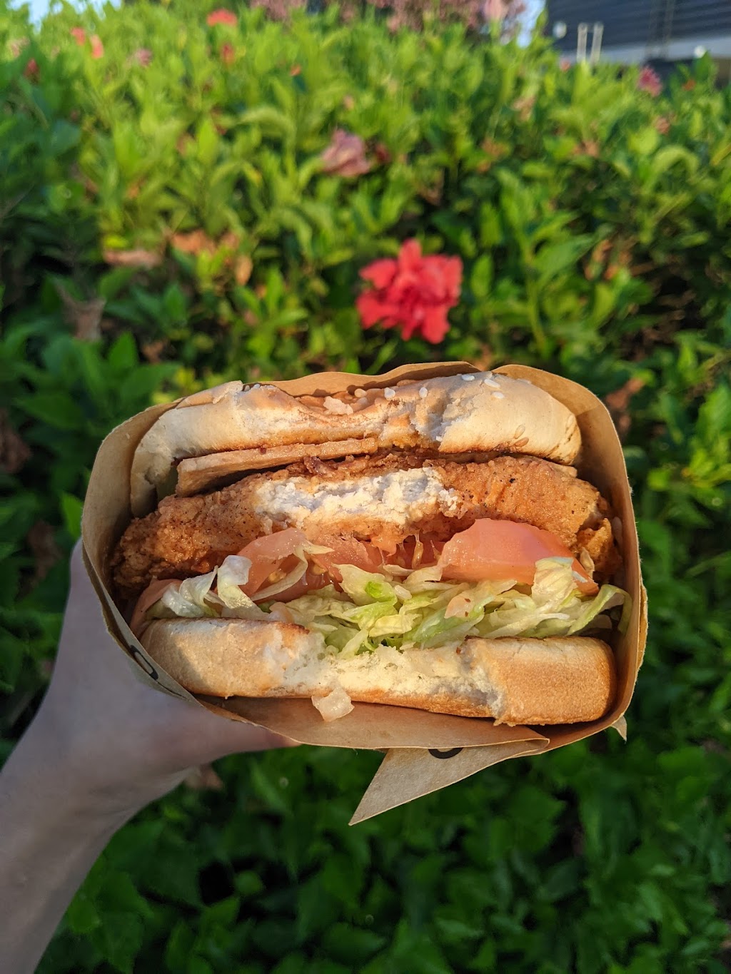 Nice Burger 100% Vegan | restaurant | 1727 17th St, Santa Ana, CA 92705, USA | 7145772266 OR +1 714-577-2266