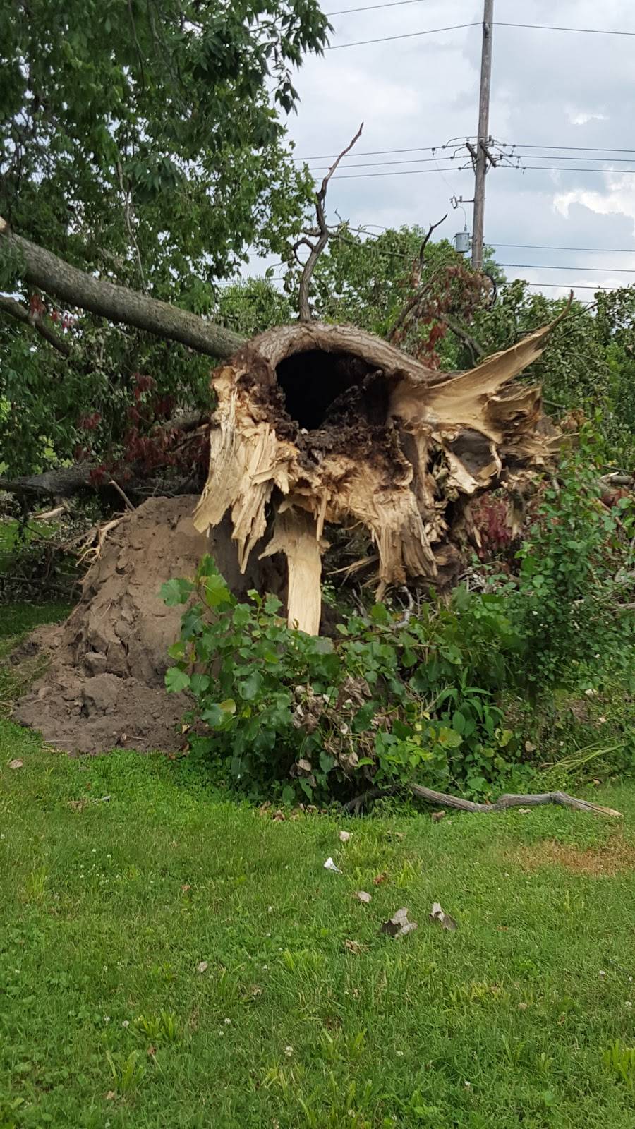 On Broadway | restaurant | 44 Jackson St, Anderson, IN 46016, USA | 7656447270 OR +1 765-644-7270