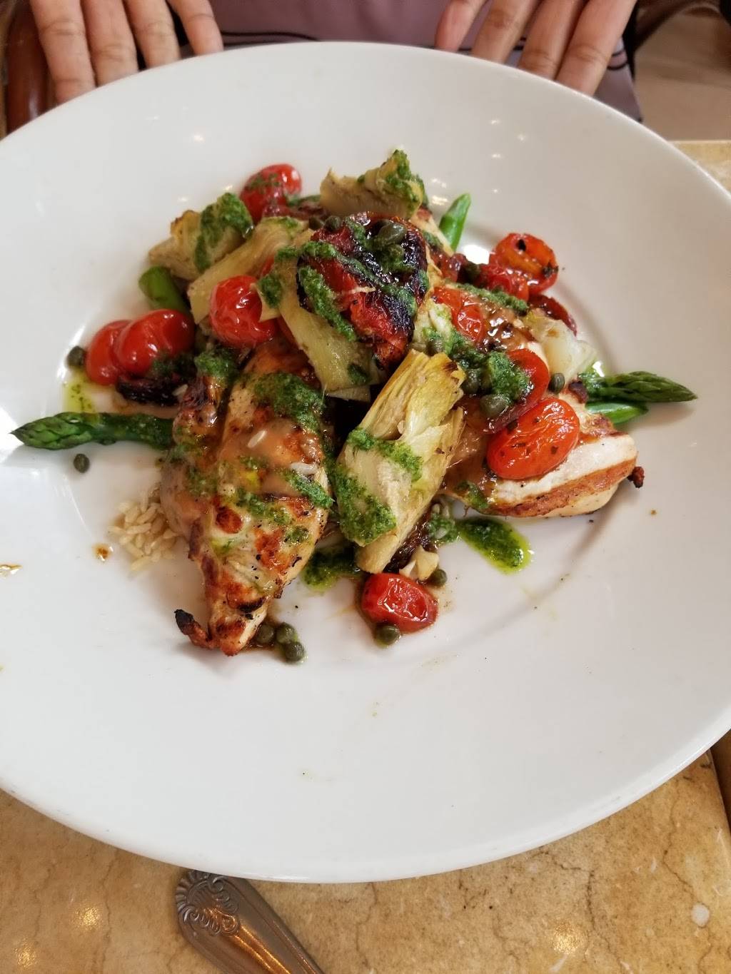 The Cheesecake Factory | restaurant | 2223 N Westshore Blvd, Tampa, FL 33607, USA | 8133534200 OR +1 813-353-4200