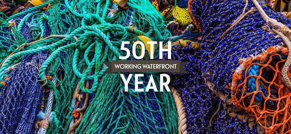 Key Largo Fisheries | restaurant | 1313 Ocean Bay Dr suite b, Key Largo, FL 33037, USA | 3054513782 OR +1 305-451-3782