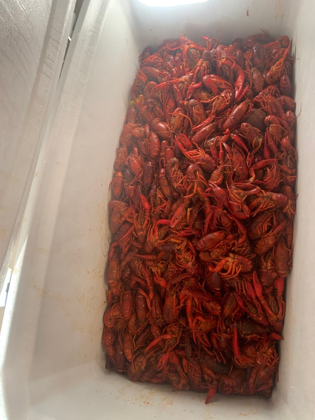 Red Tails Boil House | restaurant | 2259 Sam Houston Jones Pkwy, Moss Bluff, LA 70611, USA | 3378550531 OR +1 337-855-0531