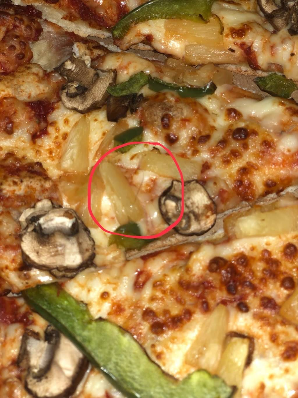 Dominos Pizza | meal delivery | 1906 Jane St, North York, ON M9N 2T8, Canada | 6477777775 OR +1 647-777-7775