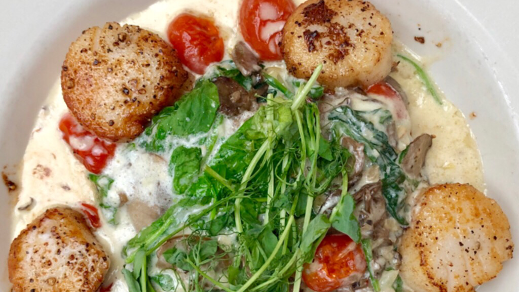 Phoebes Restaurant & Coffee Lounge | meal takeaway | 900 E Genesee St, Syracuse, NY 13244, USA | 3154755154 OR +1 315-475-5154