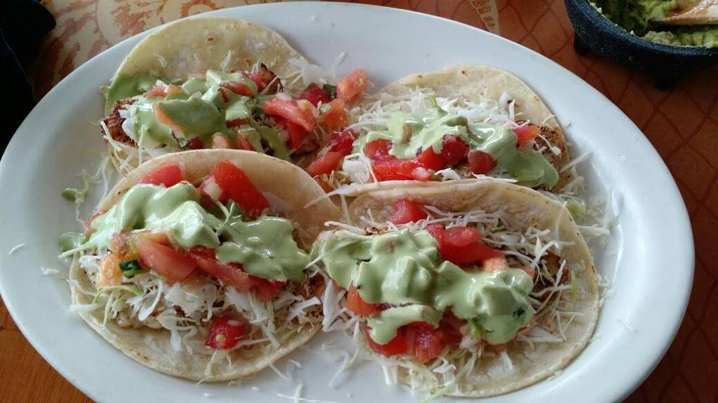 Agave Restaurant | night club | 6400 Gulf Blvd, St Pete Beach, FL 33706, USA | 7273673448 OR +1 727-367-3448