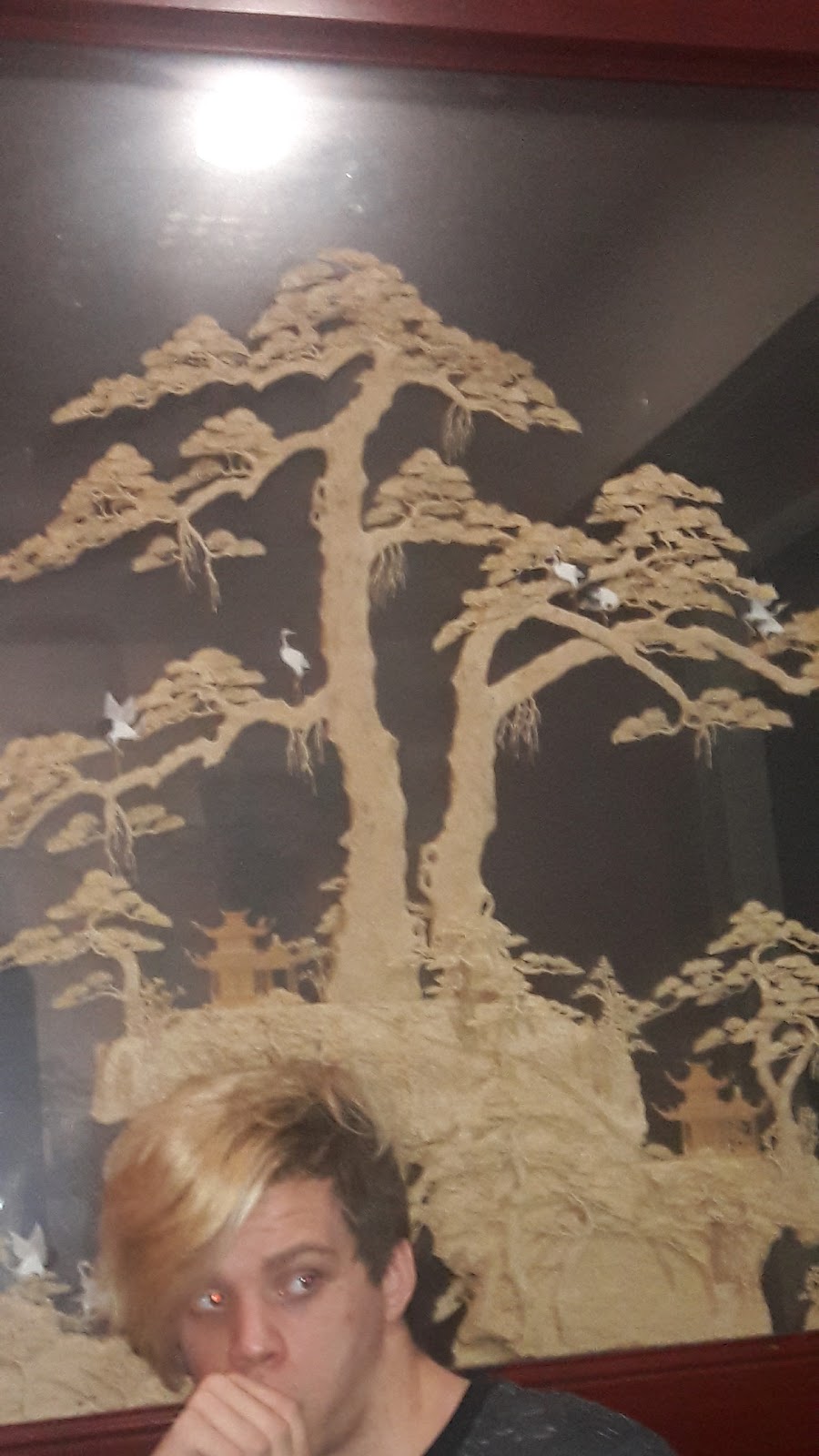 China Chef Restaurant | restaurant | 333 Greeno Rd S, Fairhope, AL 36532, USA | 2519900999 OR +1 251-990-0999