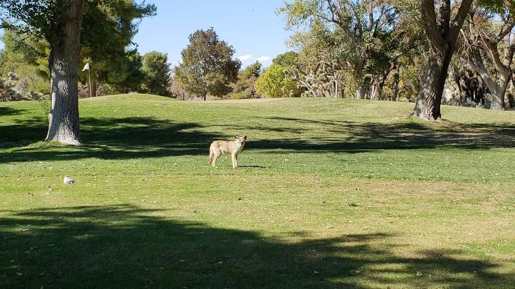 Antelope Valley Country Club | night club | 39800 Country Club Dr, Palmdale, CA 93551, USA | 6619473142 OR +1 661-947-3142