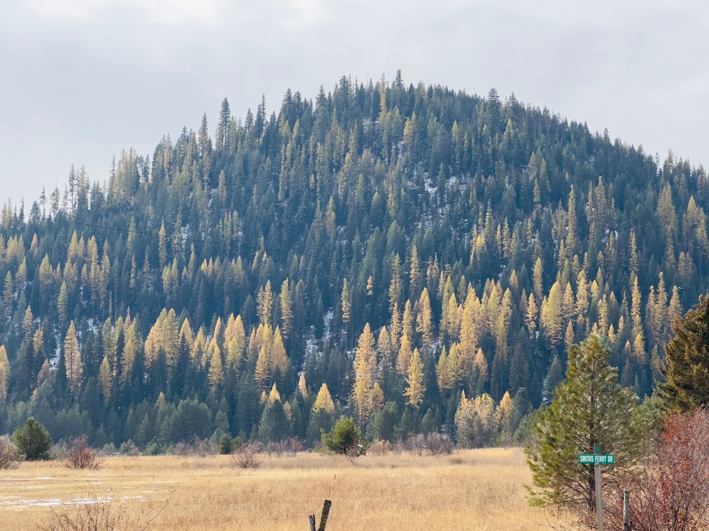 Cougar Mountain Lodge | restaurant | 9738 ID-55, Cascade, ID 83611, USA | 2083824464 OR +1 208-382-4464