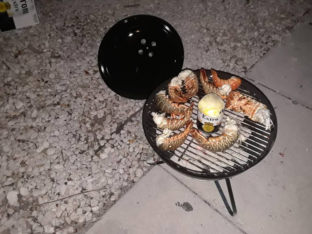 Terrace View Restaurant | restaurant | 3367 Euchee Chapel Rd, Spring City, TN 37381, USA | 4233657021 OR +1 423-365-7021