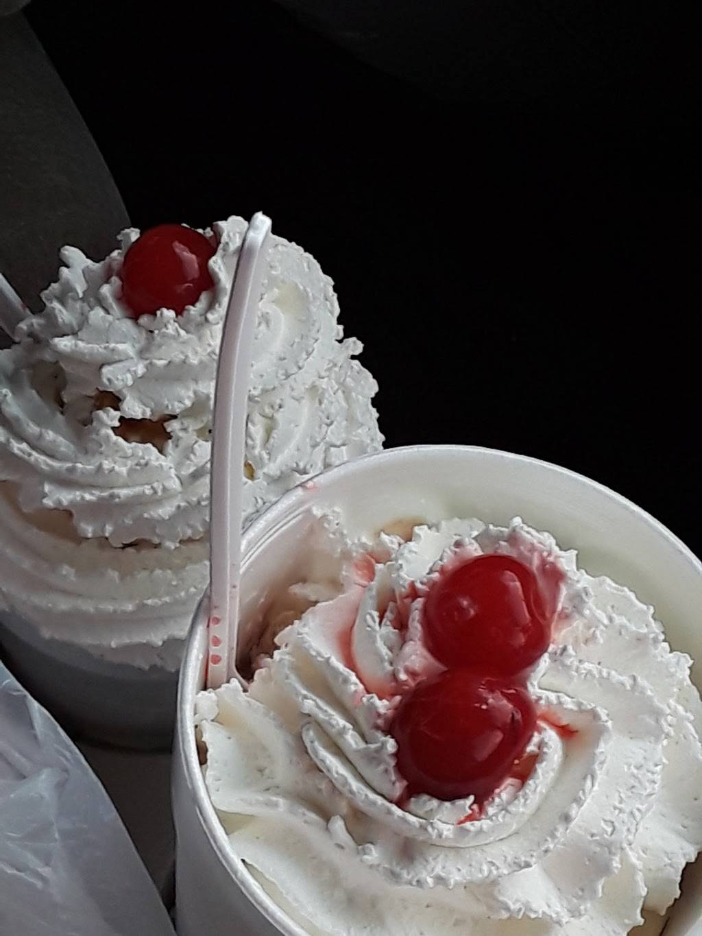 Bos Ice Cream | restaurant | 7101 N Florida Ave, Tampa, FL 33604, USA | 8133029644 OR +1 813-302-9644