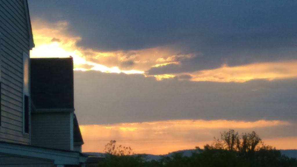 Grace Concessions LLC | restaurant | 205 Galyn Dr, Knoxville, MD 21758, USA | 3018347247 OR +1 301-834-7247