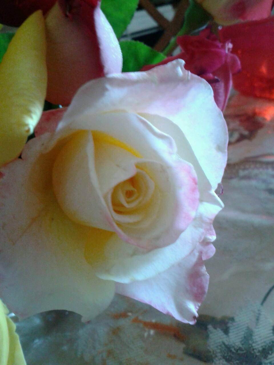 Subway Restaurants | restaurant | 404 S Figueroa St #608, Los Angeles, CA 90071, USA | 2136889197 OR +1 213-688-9197