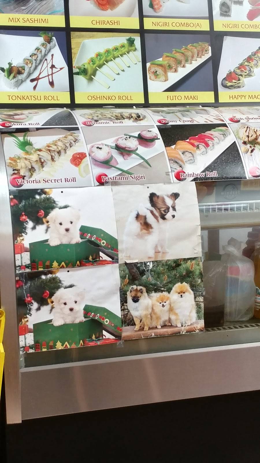 Bluefin Sushi & Teriyaki Grill | restaurant | 2327 Redwood Ave, Redwood City, CA 94061, USA | 6503611160 OR +1 650-361-1160