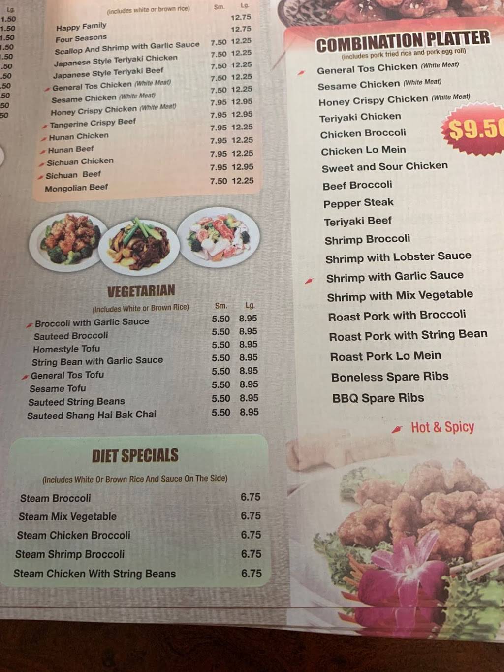 Cloud Asian Restaurant | restaurant | 2 W Village Green, Hicksville, NY 11801, USA | 5167963333 OR +1 516-796-3333