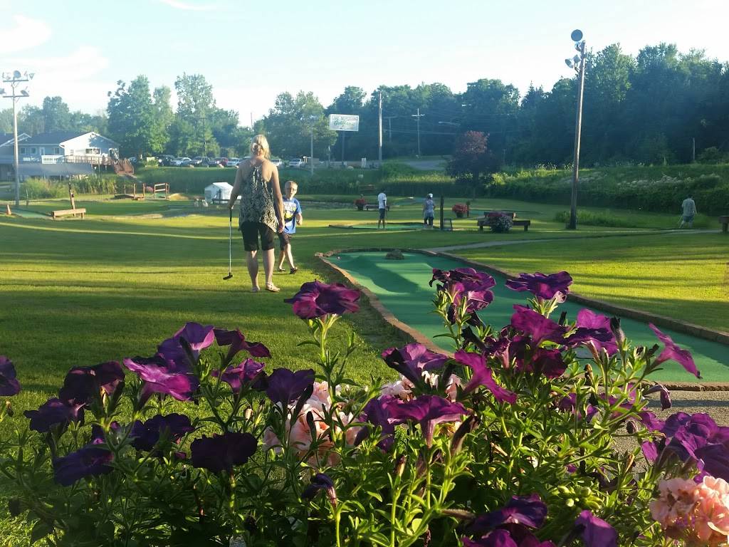 Lake Nepessing Golfland | restaurant | 1125 Lake Nepessing Rd, Lapeer, MI 48446, USA | 8106643514 OR +1 810-664-3514