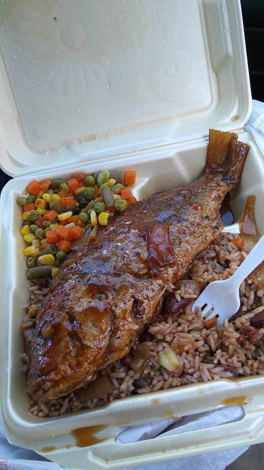 Caribbean Citchen | restaurant | 10500 W McNichols Rd, Detroit, MI 48221, USA | 3133453746 OR +1 313-345-3746