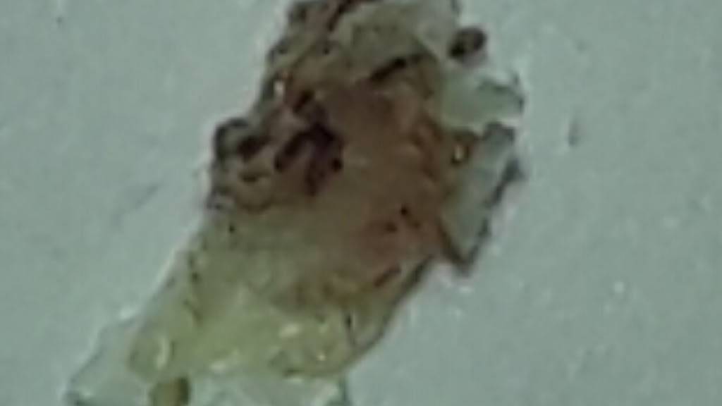 Dunkin | bakery | 39600 E Ann Arbor Rd, Plymouth, MI 48170, USA | 7344595944 OR +1 734-459-5944