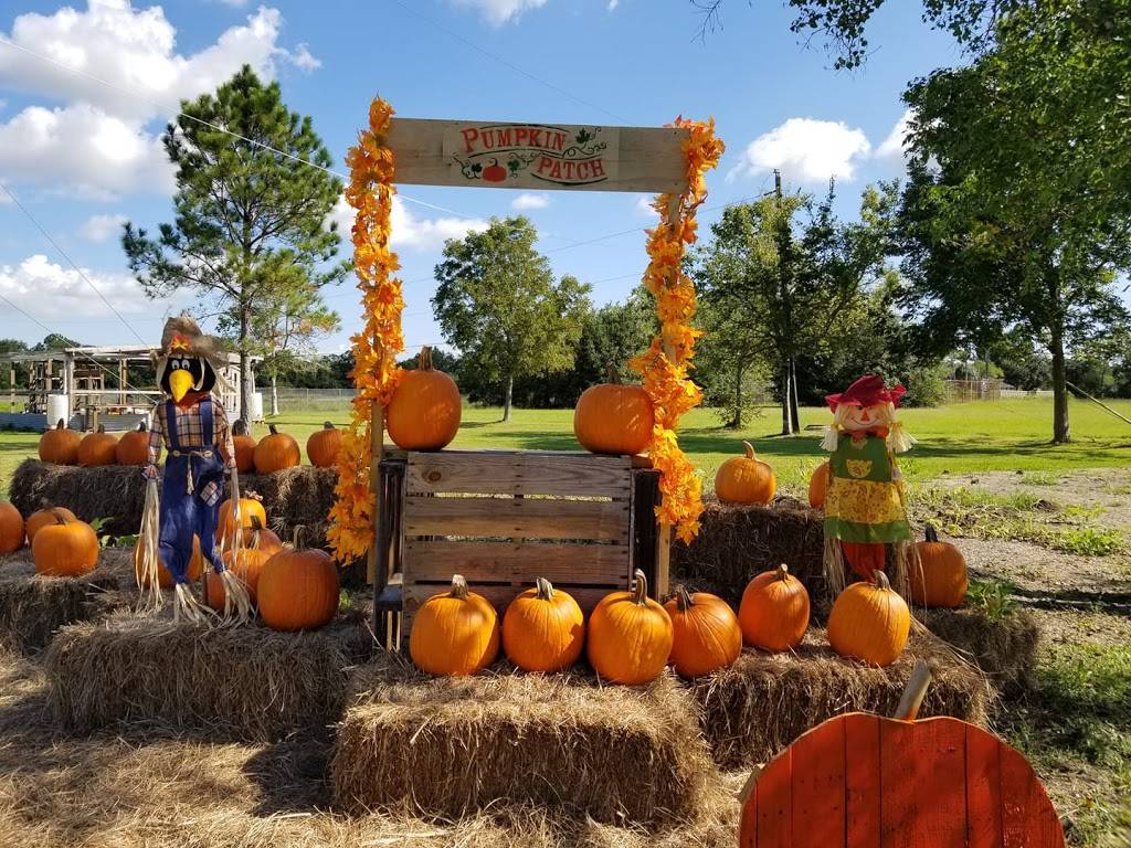 Pennys Beer Garden | restaurant | 1001 Farm to Market 646 Rd N, Dickinson, TX 77539, USA | 8323156263 OR +1 832-315-6263