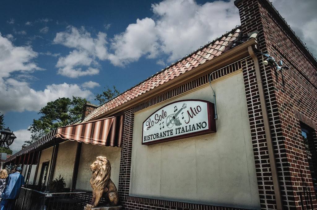 Lo Sole Mio Ristorante | restaurant | 3001 S 32nd Ave, Omaha, NE 68105, USA | 4023455656 OR +1 402-345-5656