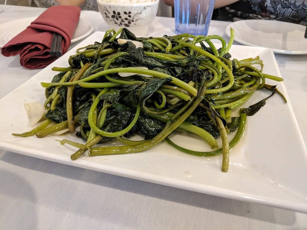 Koi Sushi | restaurant | 502 State St, Madison, WI 53703, USA | 6084676801 OR +1 608-467-6801