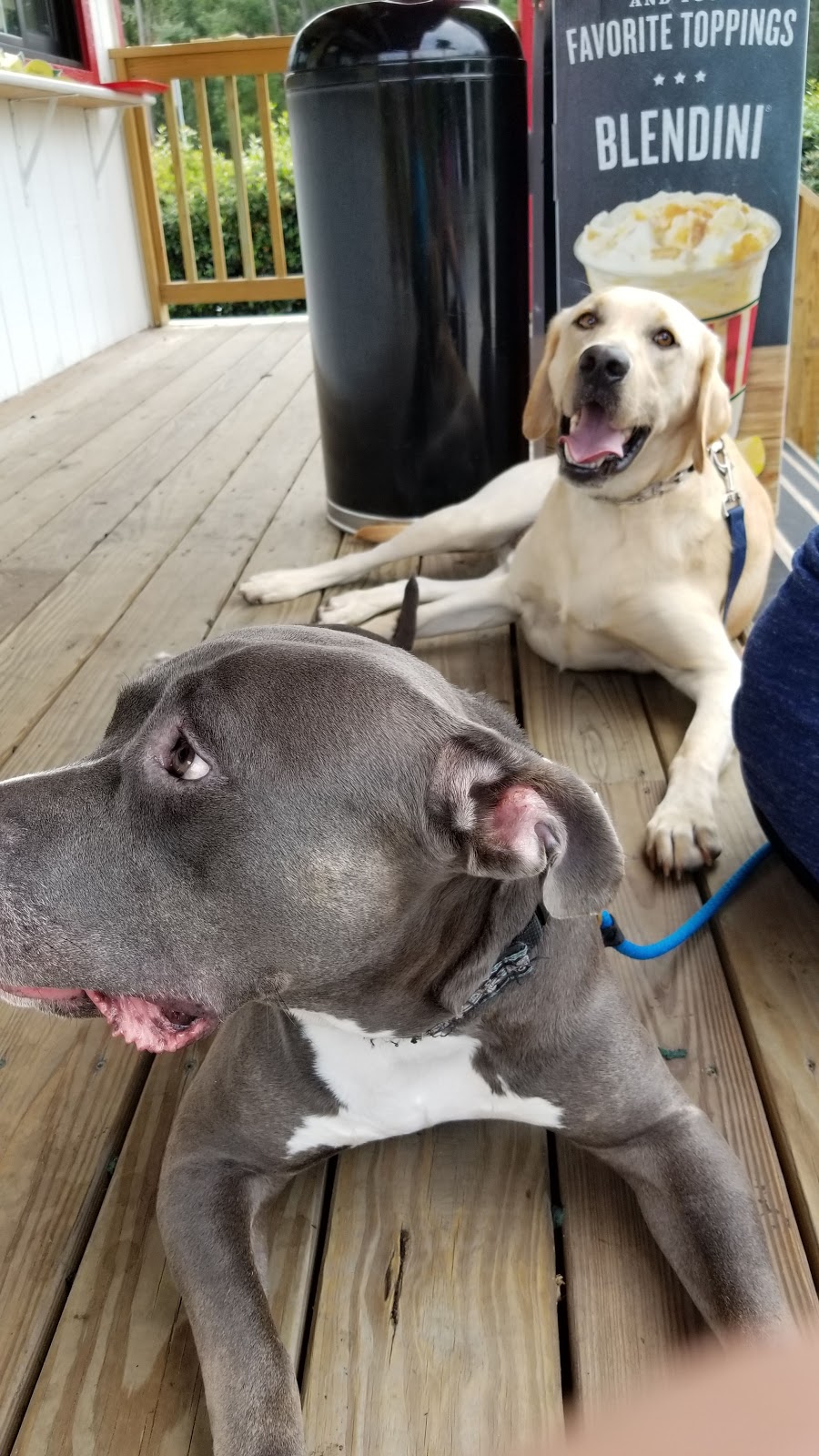 Ritas Italian Ice & Frozen Custard | restaurant | 7878 US-80, Savannah, GA 31410, USA | 9123358096 OR +1 912-335-8096