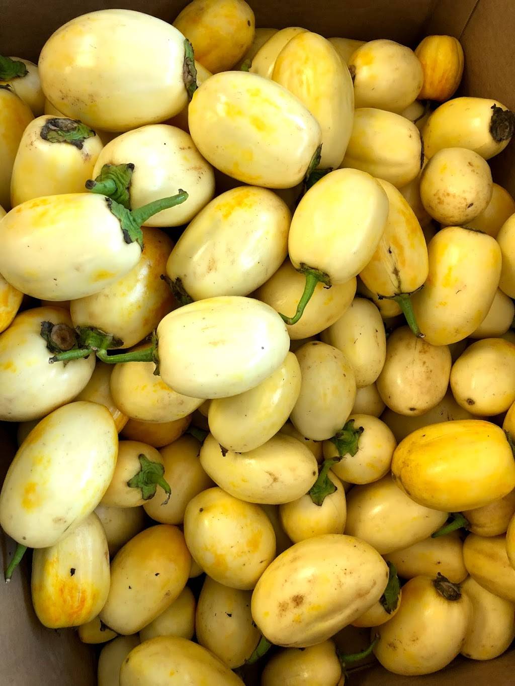 INTERNATIONAL FOOD MARKET | restaurant | 7824 Gifford St, Norfolk, VA 23518, USA | 7573334080 OR +1 757-333-4080