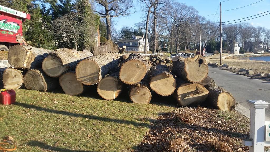 Top 1 China Express | restaurant | 739 Commack Rd, Brentwood, NY 11717, USA | 6316656333 OR +1 631-665-6333