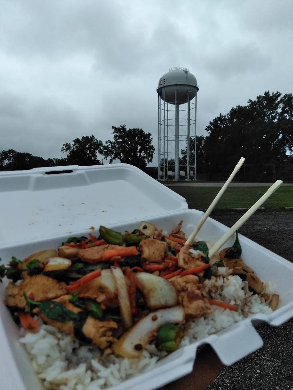 Magic Wok | restaurant | 424 N Telegraph Rd, Monroe, MI 48162, USA | 7342410072 OR +1 734-241-0072