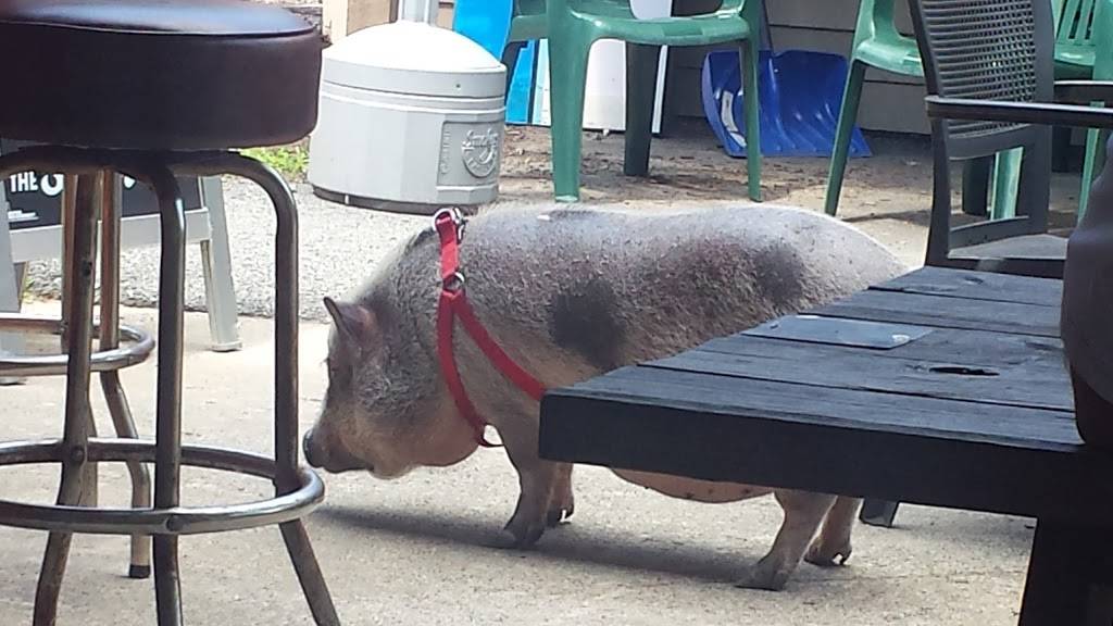 J&S Roadhouse | restaurant | 17 Wooley Rd, West Milford, NJ 07480, USA | 9736979751 OR +1 973-697-9751