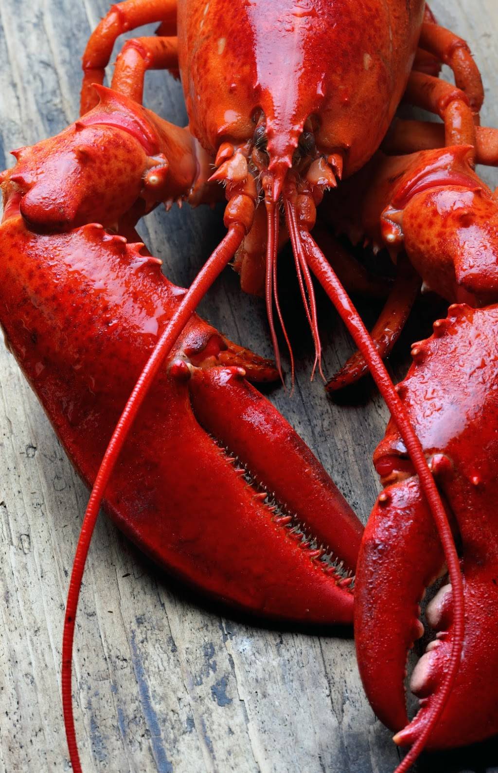 Lobster House Seafood Restaurant | restaurant | 5301 S Kings Hwy, Myrtle Beach, SC 29575, USA | 8438288871 OR +1 843-828-8871